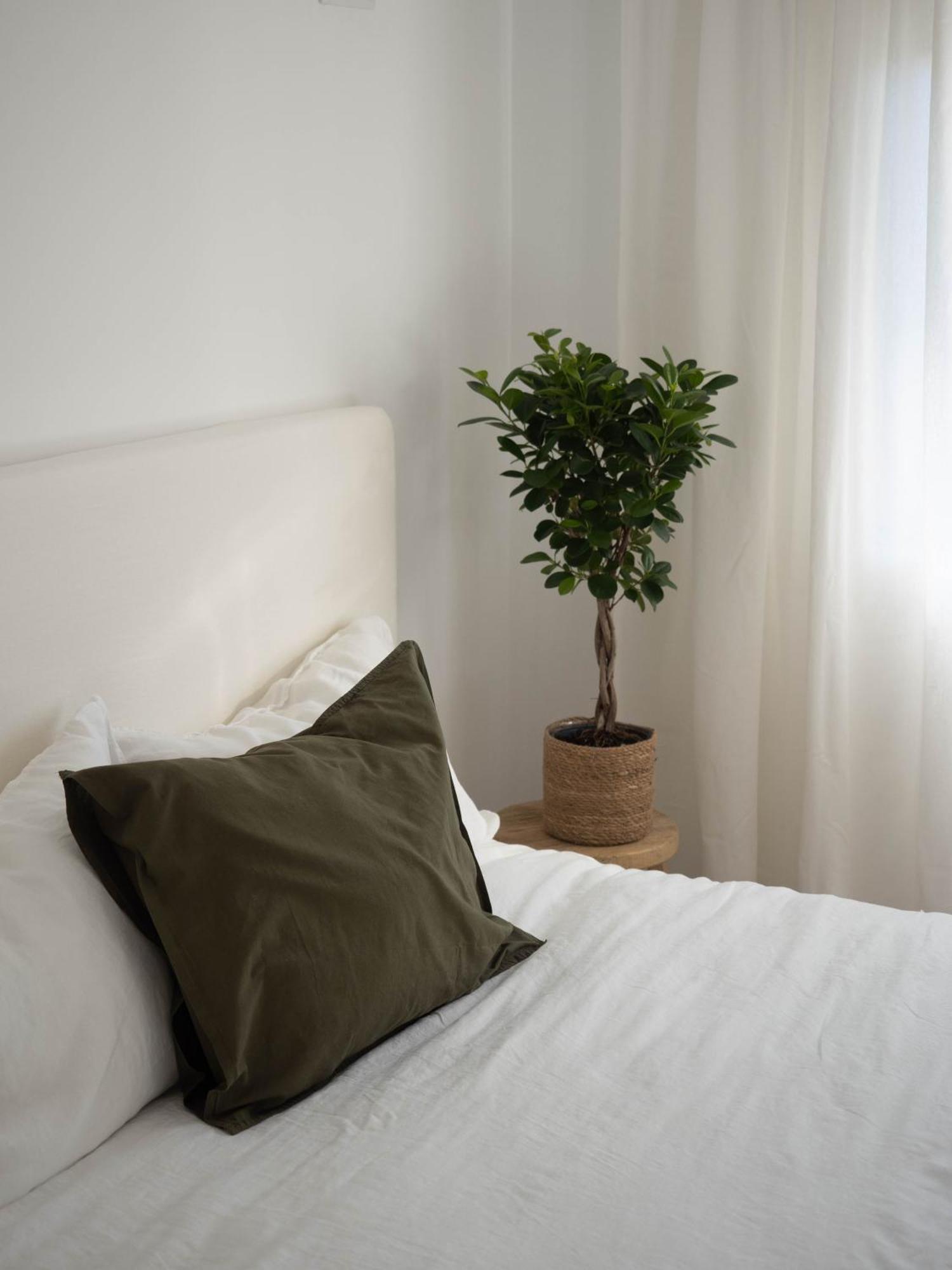 Luxury Apartment In Valencia City Center מראה חיצוני תמונה